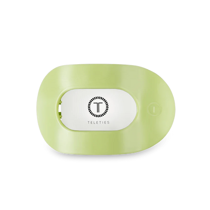 Teletie Rounded Flat Clips {Summer Collection}